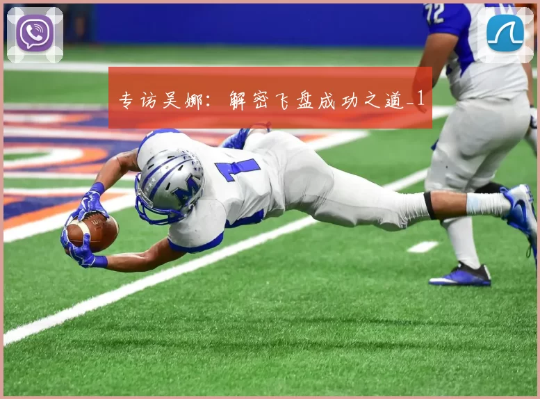 专访吴娜：解密飞盘成功之道_1