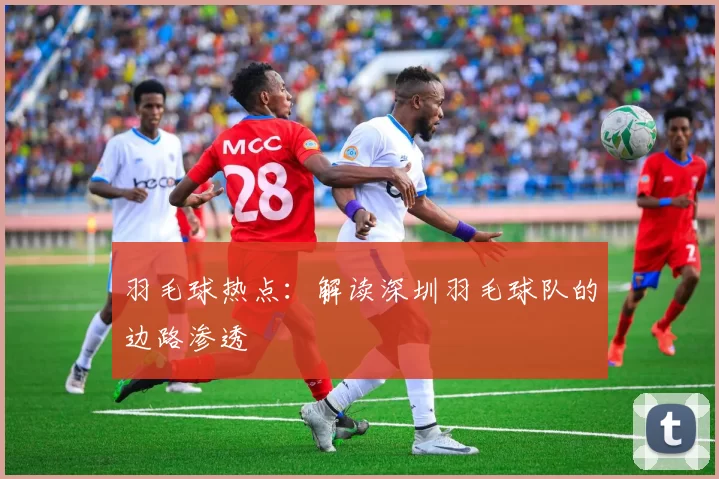 羽毛球热点：解读深圳羽毛球队的边路渗透