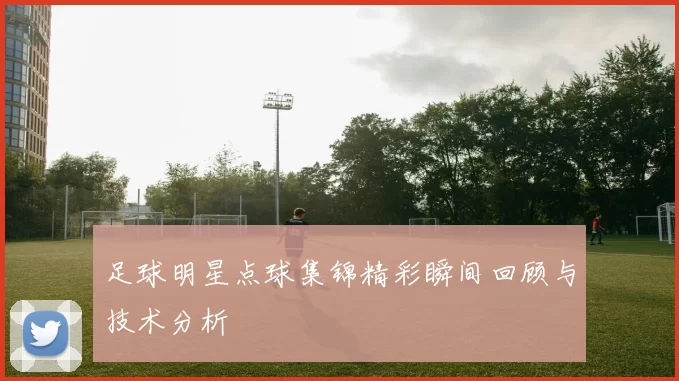 足球明星点球集锦精彩瞬间回顾与技术分析