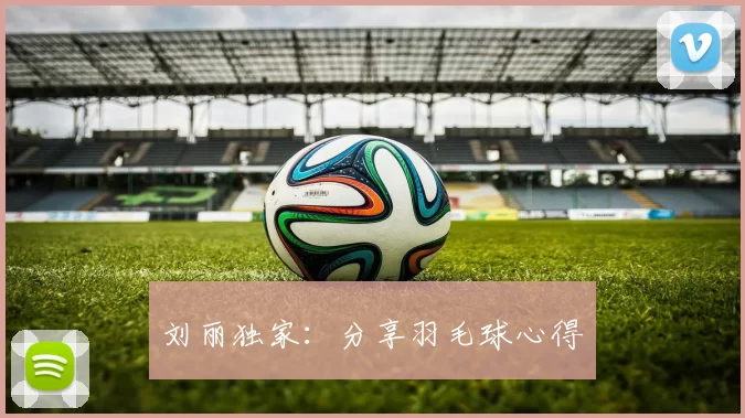 刘丽独家：分享羽毛球心得